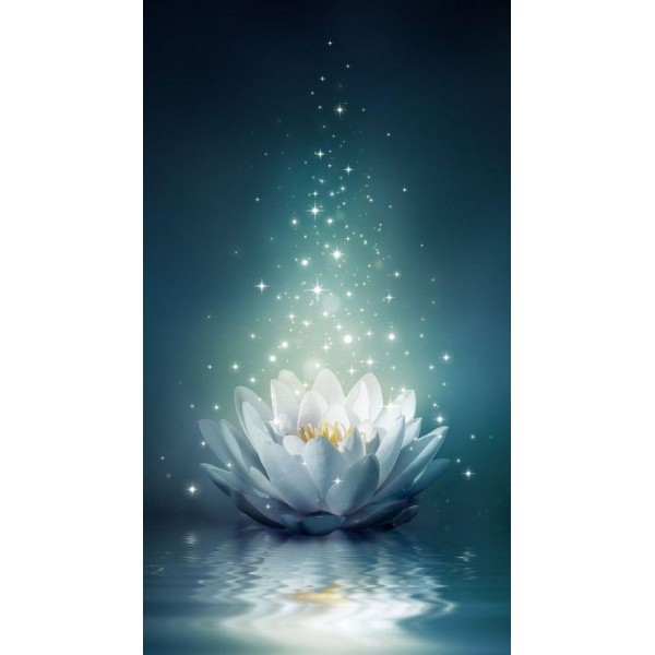 Sparkling Lotus