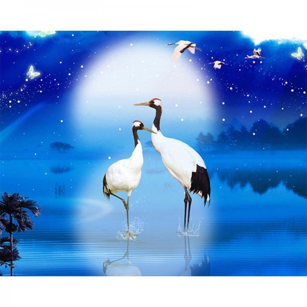 Night Cranes