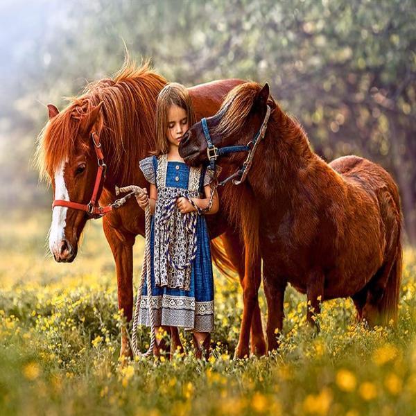 Girl And Her Ponies