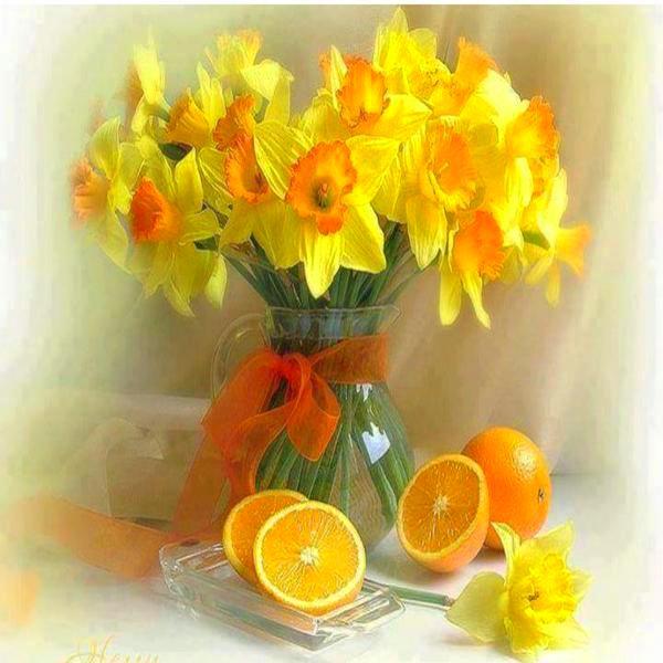 Narcissus Bouquet