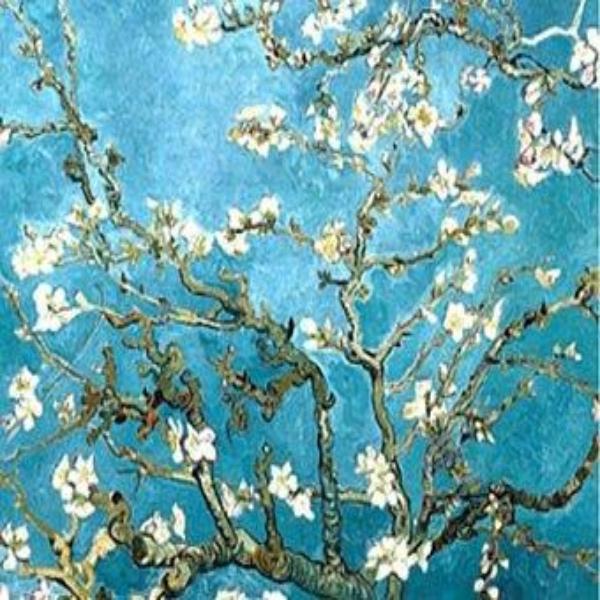 Van Gogh Almond Blossom
