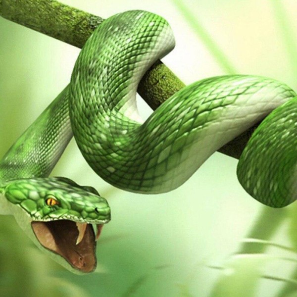 Green Snake