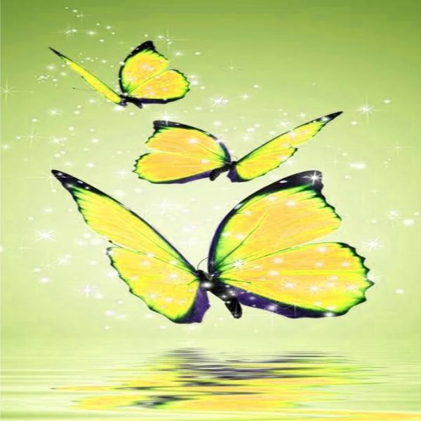 Yellow Butterflies