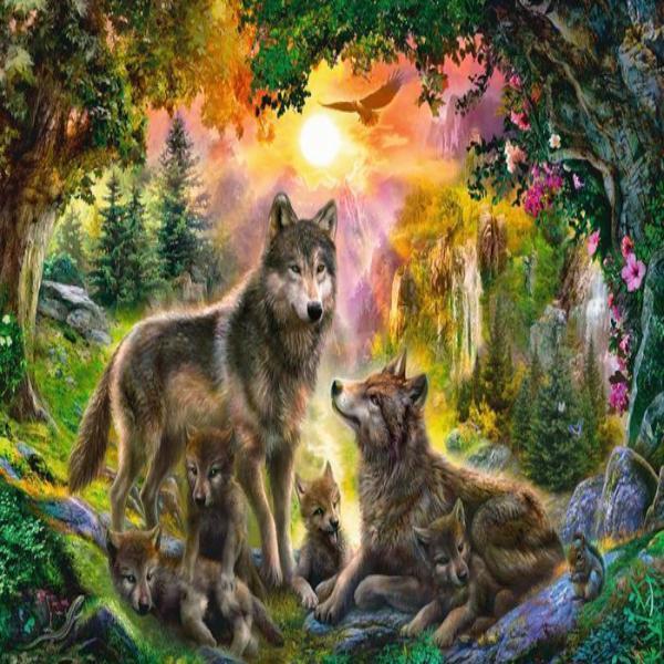 Forest Wolves