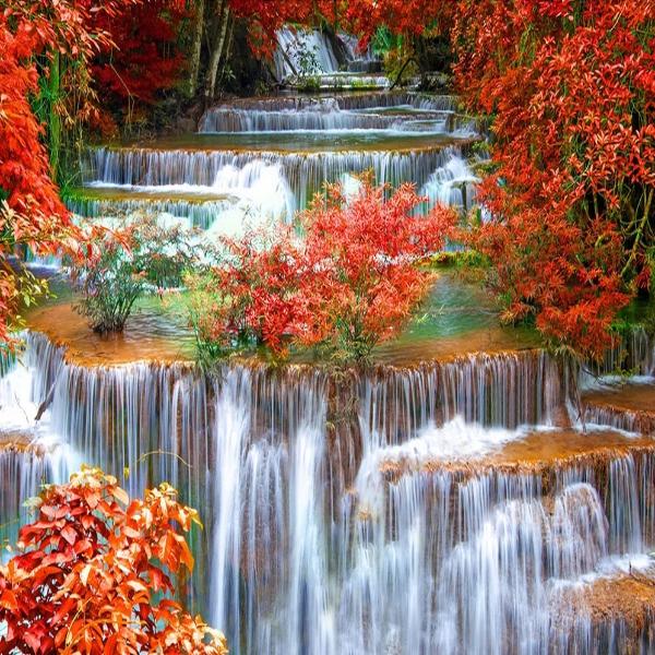 Red Forest Waterfall
