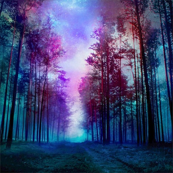 Purple Sky Forest