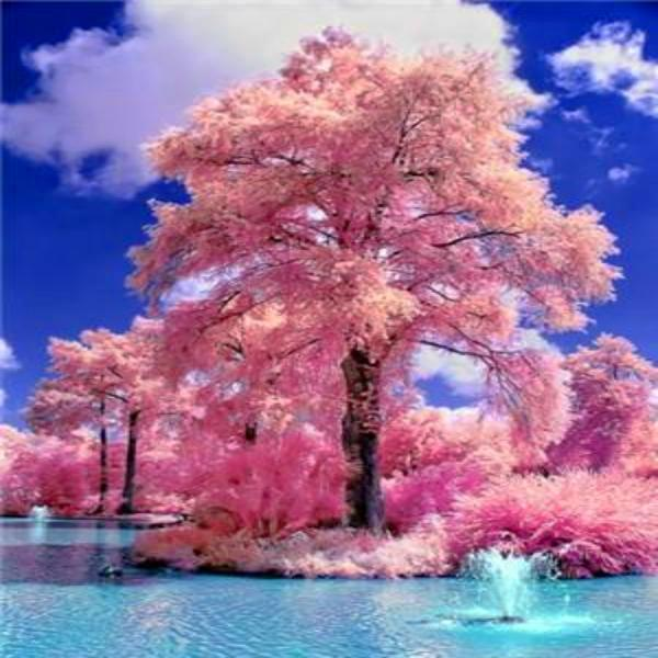 Landscape Fantastico