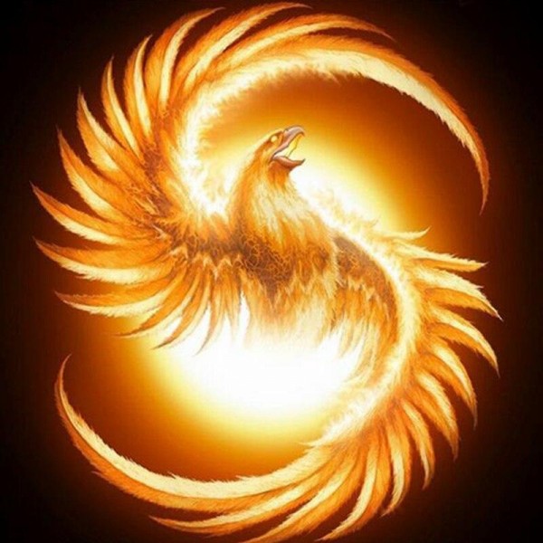 Phoenix Of The Sun