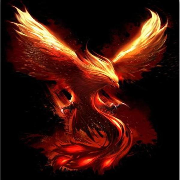 Fury Of Phoenix