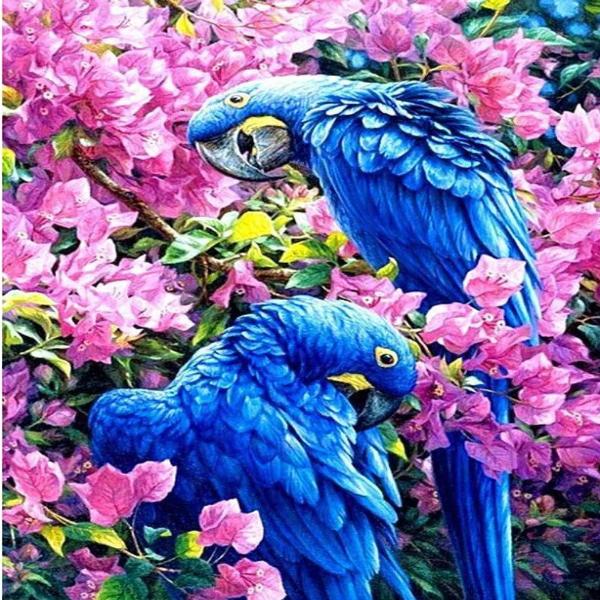 Blue Parrots