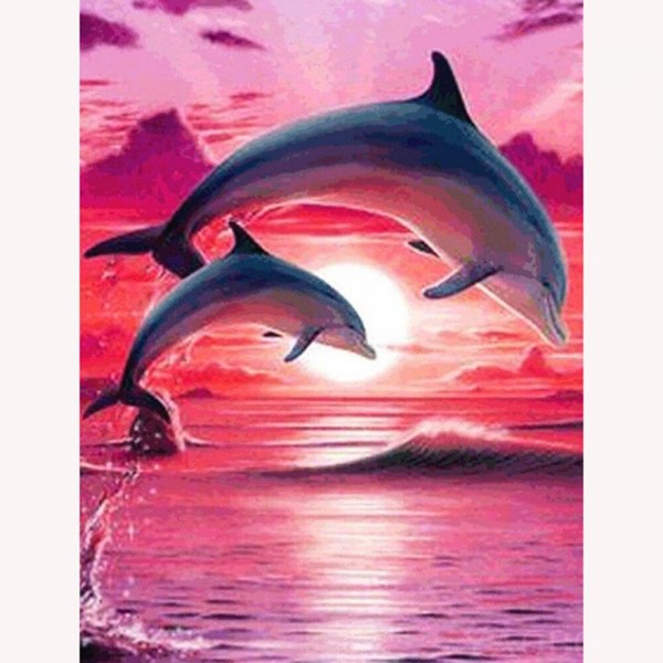 Sunset Joy Dolphins