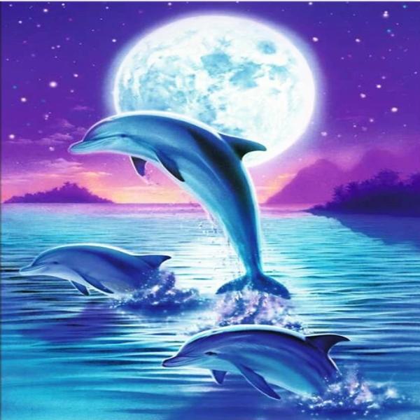 Moonlight Dolphins