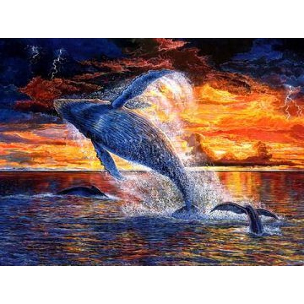 Sunset Whales