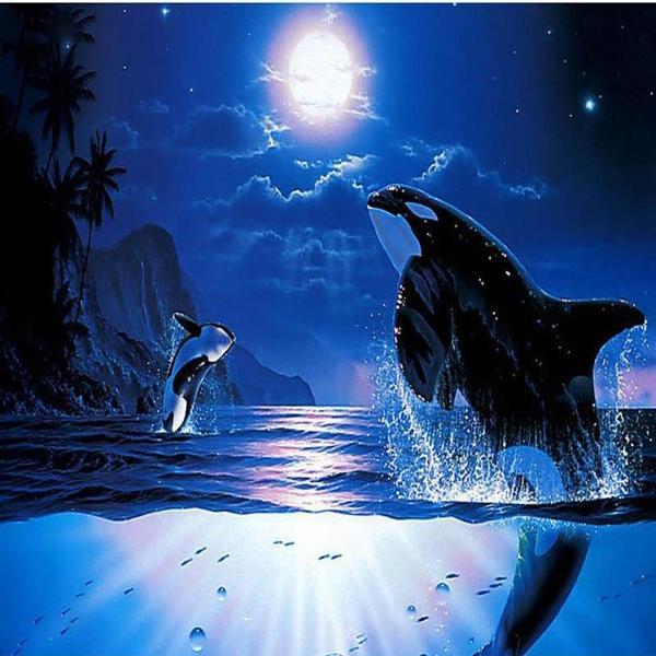 Moonlight Whales
