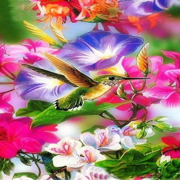 Brilliant Flower Hummingbird
