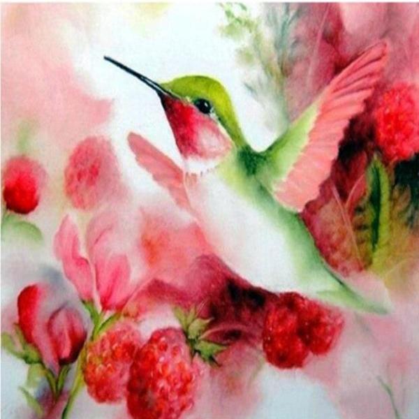 Raspberry Hummingbird