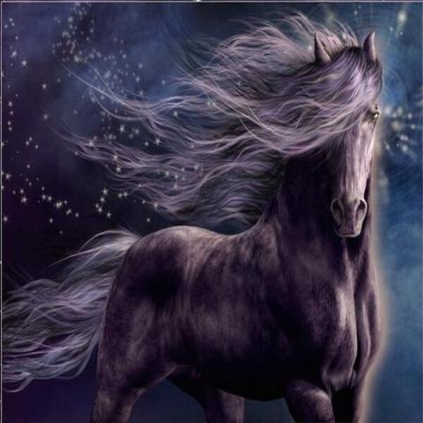 Windy Night Horse