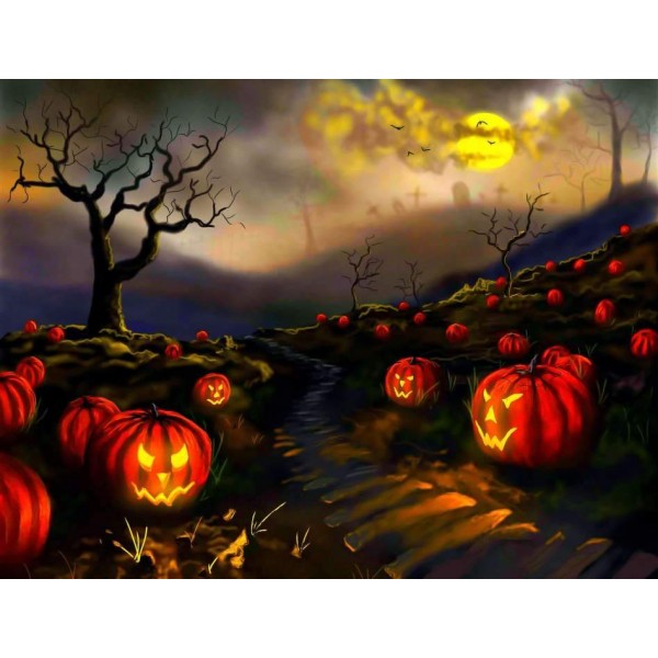 Halloween Night Pumpkin Patch