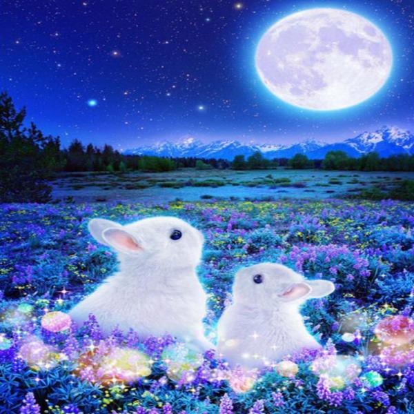 Moonlight Meadow Bunnies