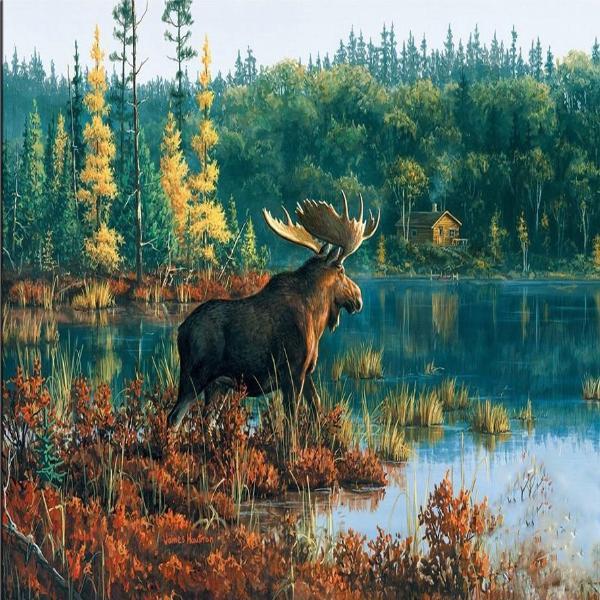 Swamp Pond Moose