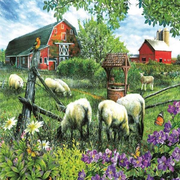 Sheep Farm Life