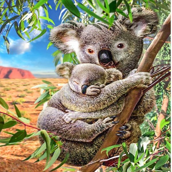 Eucalyptus Tree Koalas