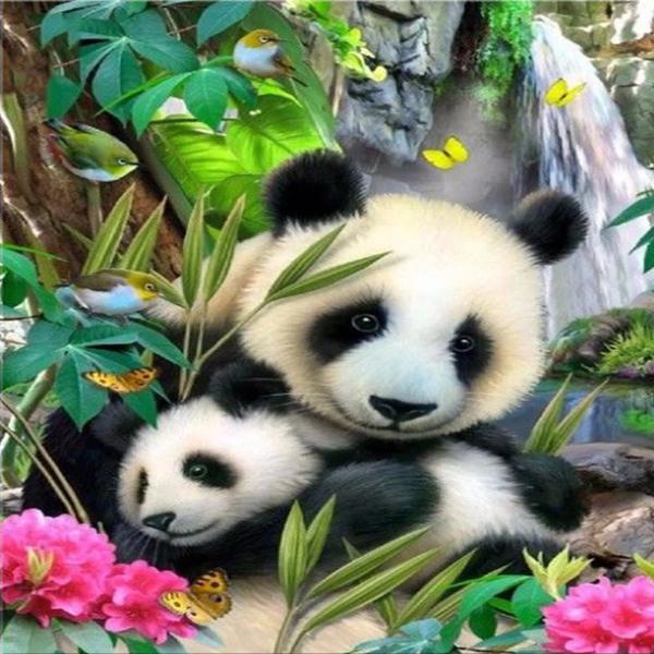 Panda Mom's Love