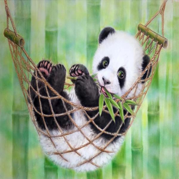 Baby Panda In Hammock