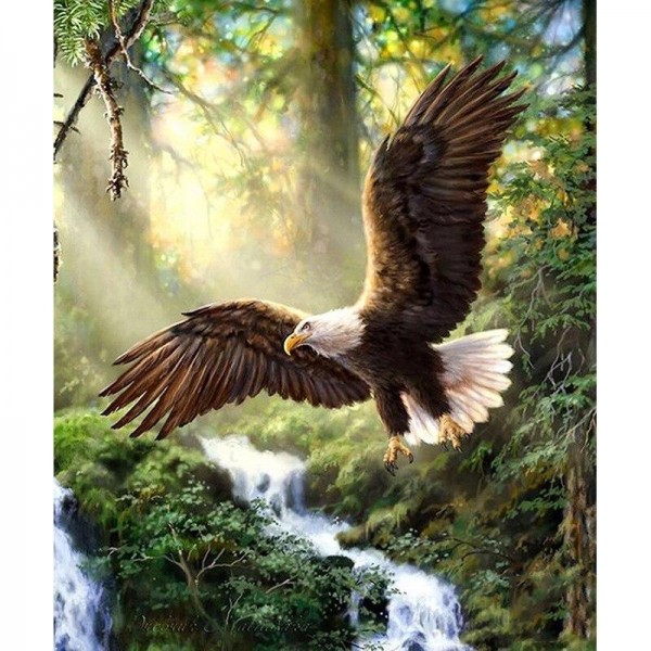 Forest Creek Eagle