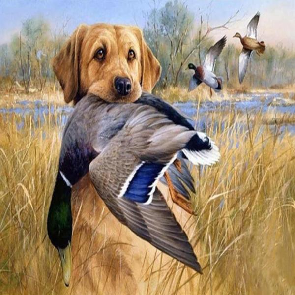 Duck Hunting
