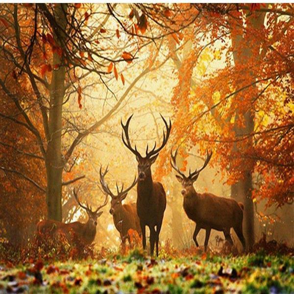 Autumn Deers