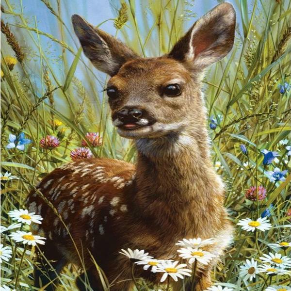 Flower Meadow Bambi