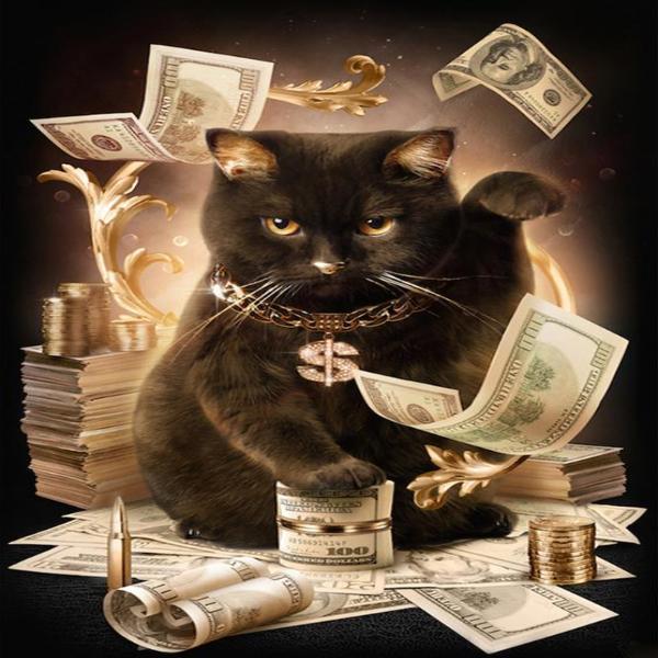 Cat With Cash