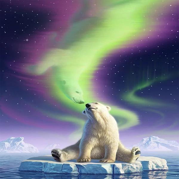Polar Bear Spirit