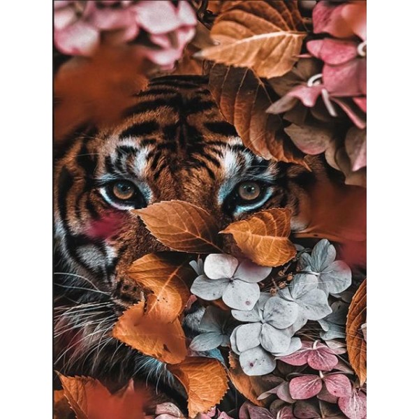 Tiger Eye Portrait