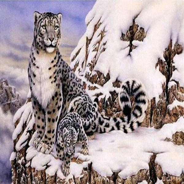 Mountainside Snow Leopards