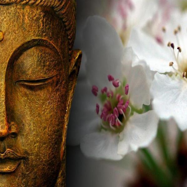 Buddha And Flowers