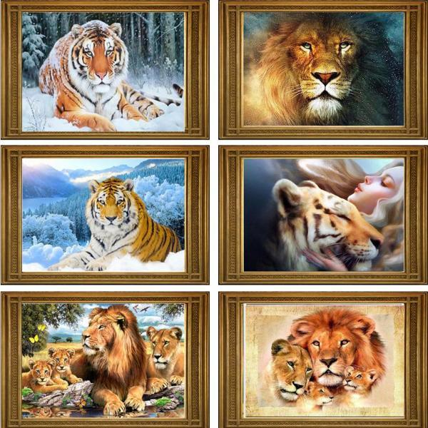 Big Cat Collection