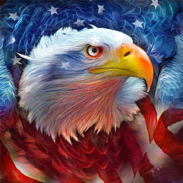 Fierce American Eagle